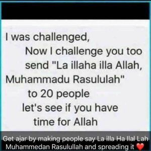 Meet your Posher, Mona